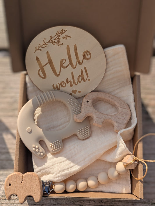 Baby girl or baby boy gift box